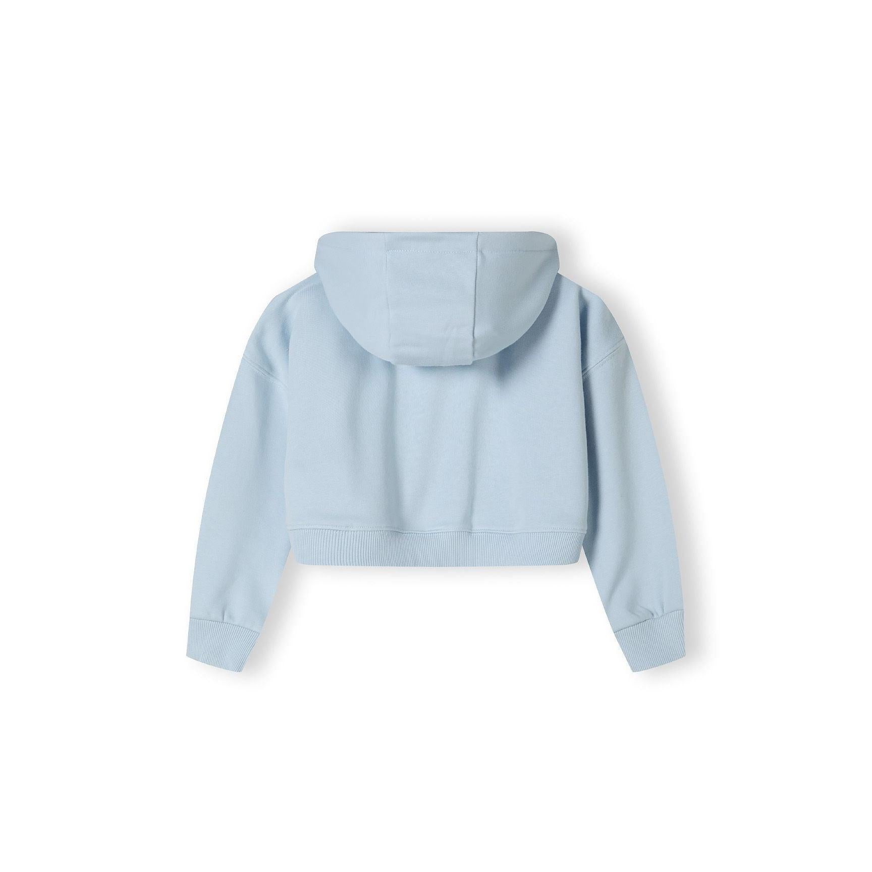Back view of light blue cropped zip hoodie with hood laid flat against white background showing rear design