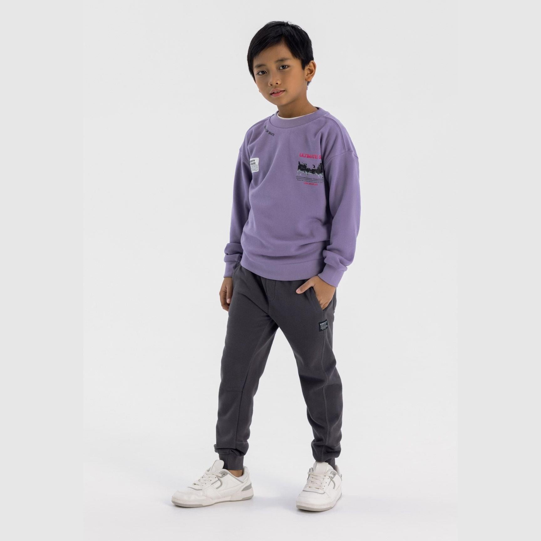 Boy wearing grey panelled joggers with purple sweatshirt on white background, full body front view