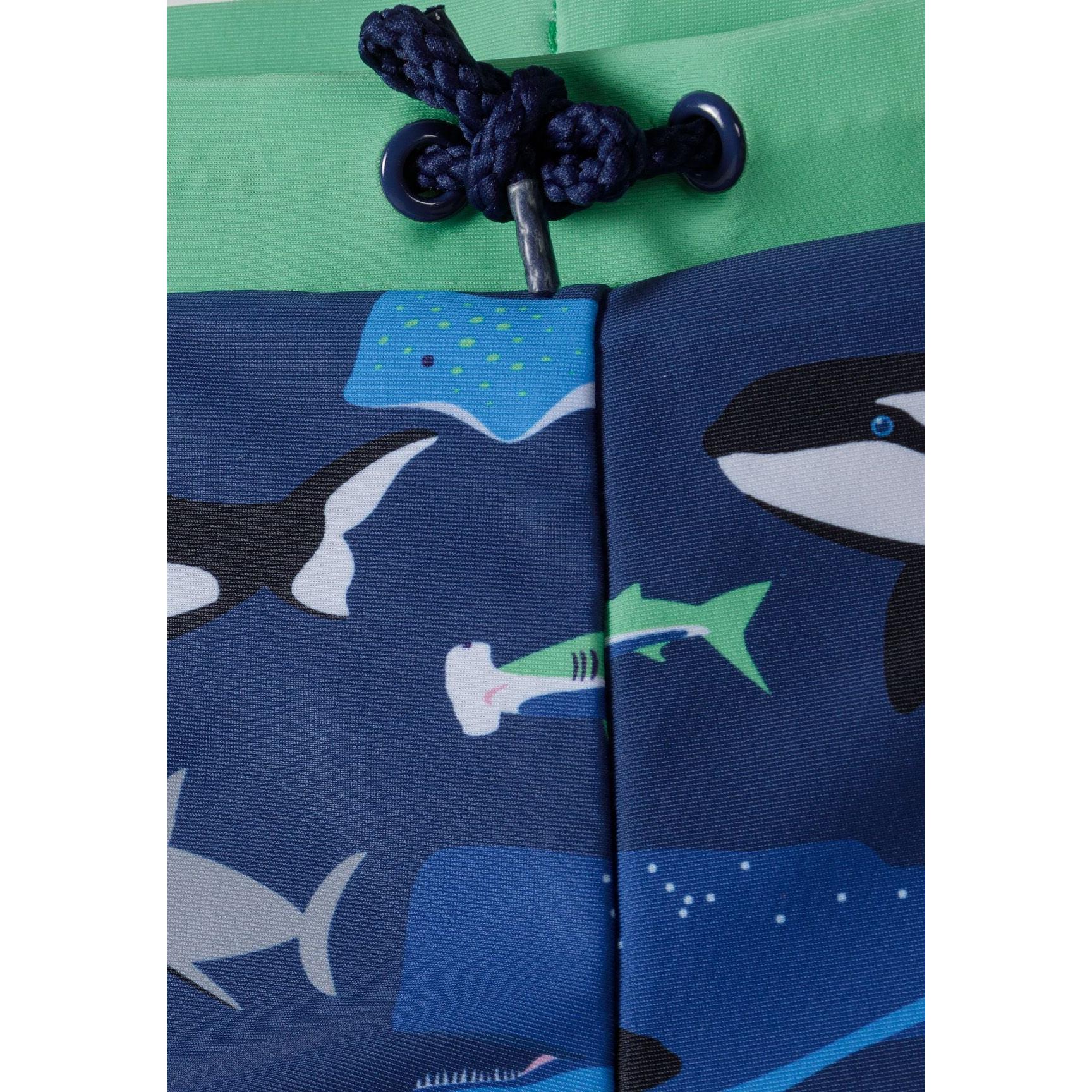 Close-up detail of green waistband with navy drawstring cord and toggle on sea creature printed rash shorts
