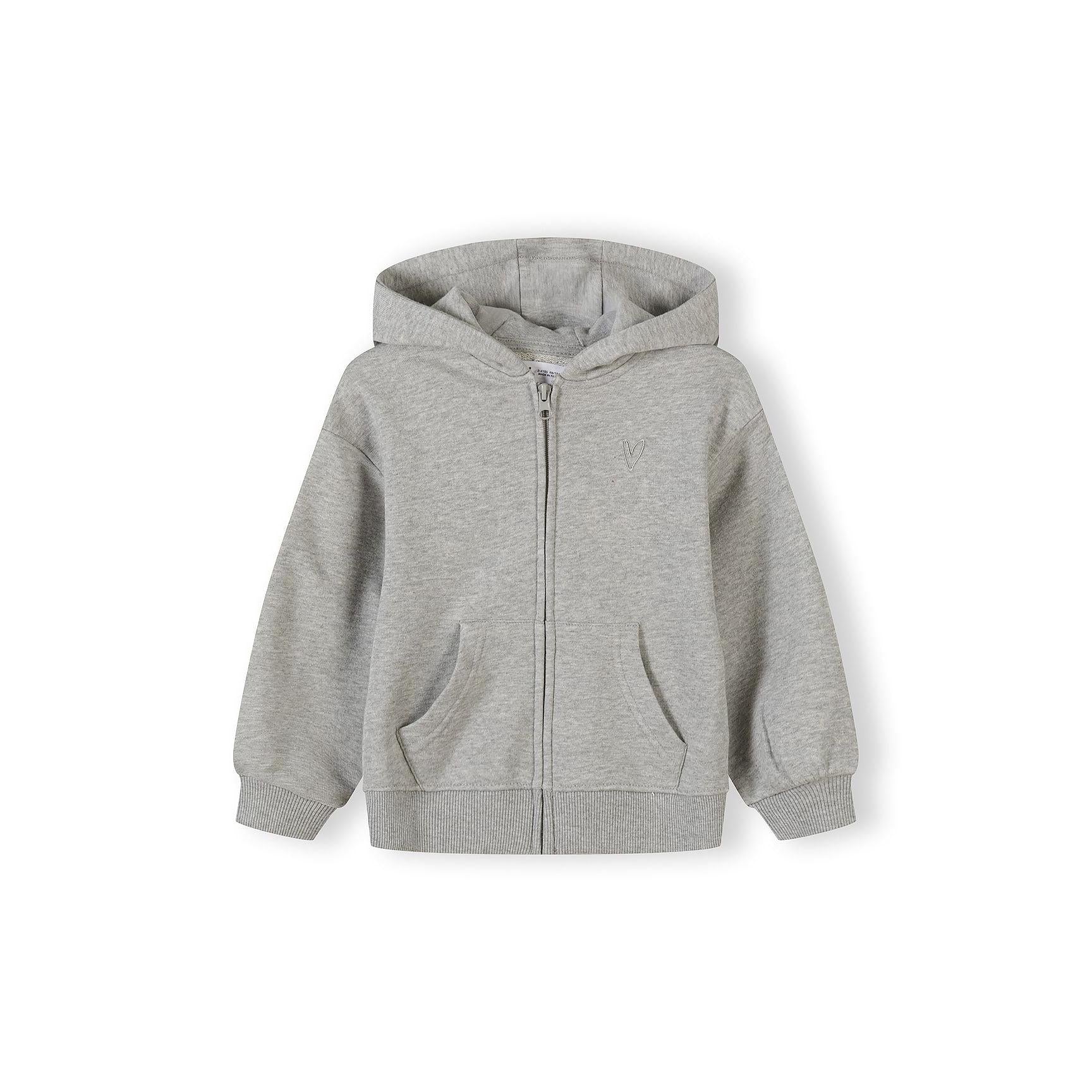Grey zip-up hoodie shown individually on white background, displaying full front view with hood, zip closure and kangaroo pocket