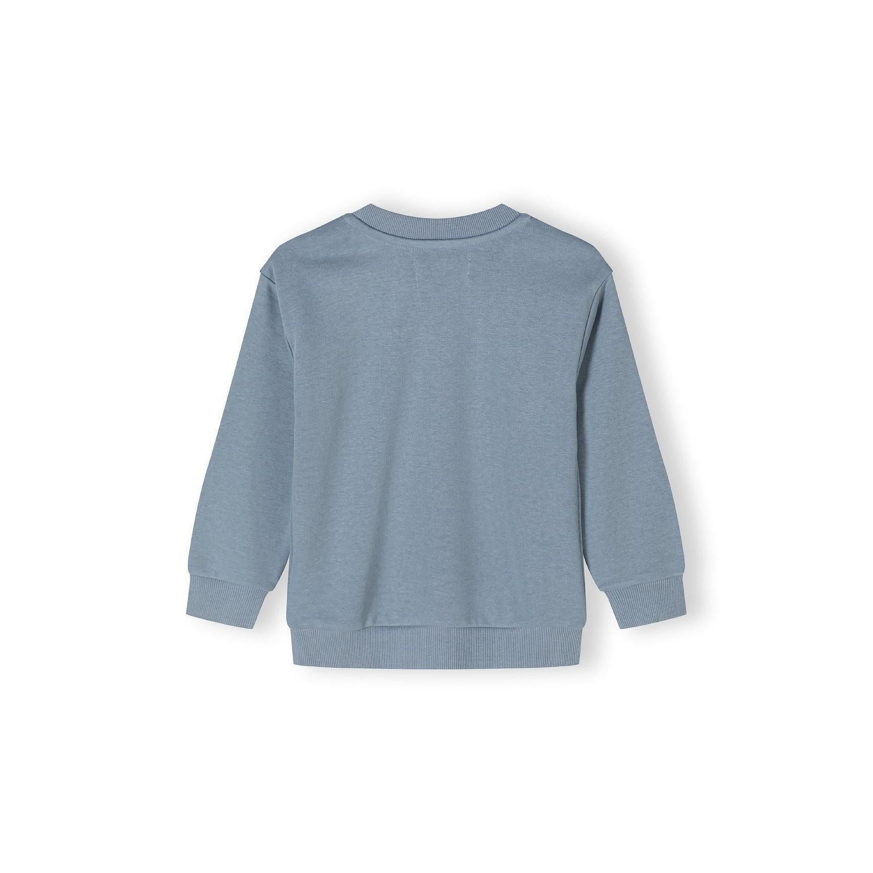 Back view of dusty blue crew neck sweatshirt showing plain design with ribbed hem and cuffs against white background