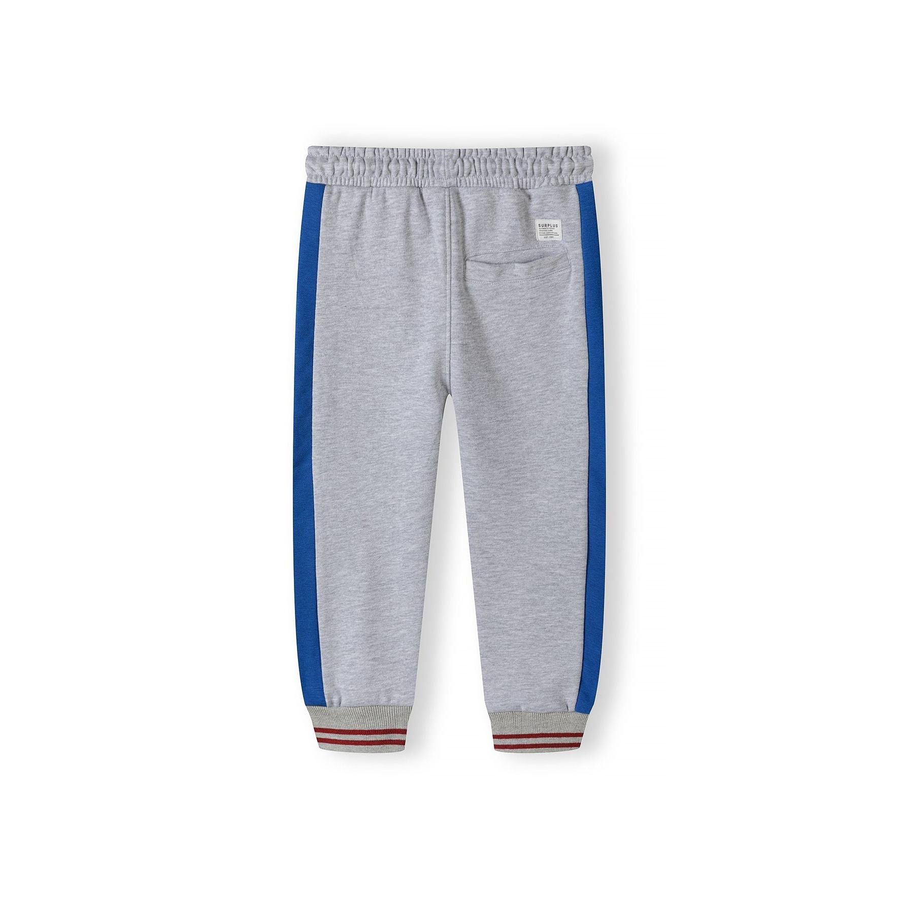 Back view of grey fleece joggers showing blue contrast panels and ribbed cuffs with striped detail