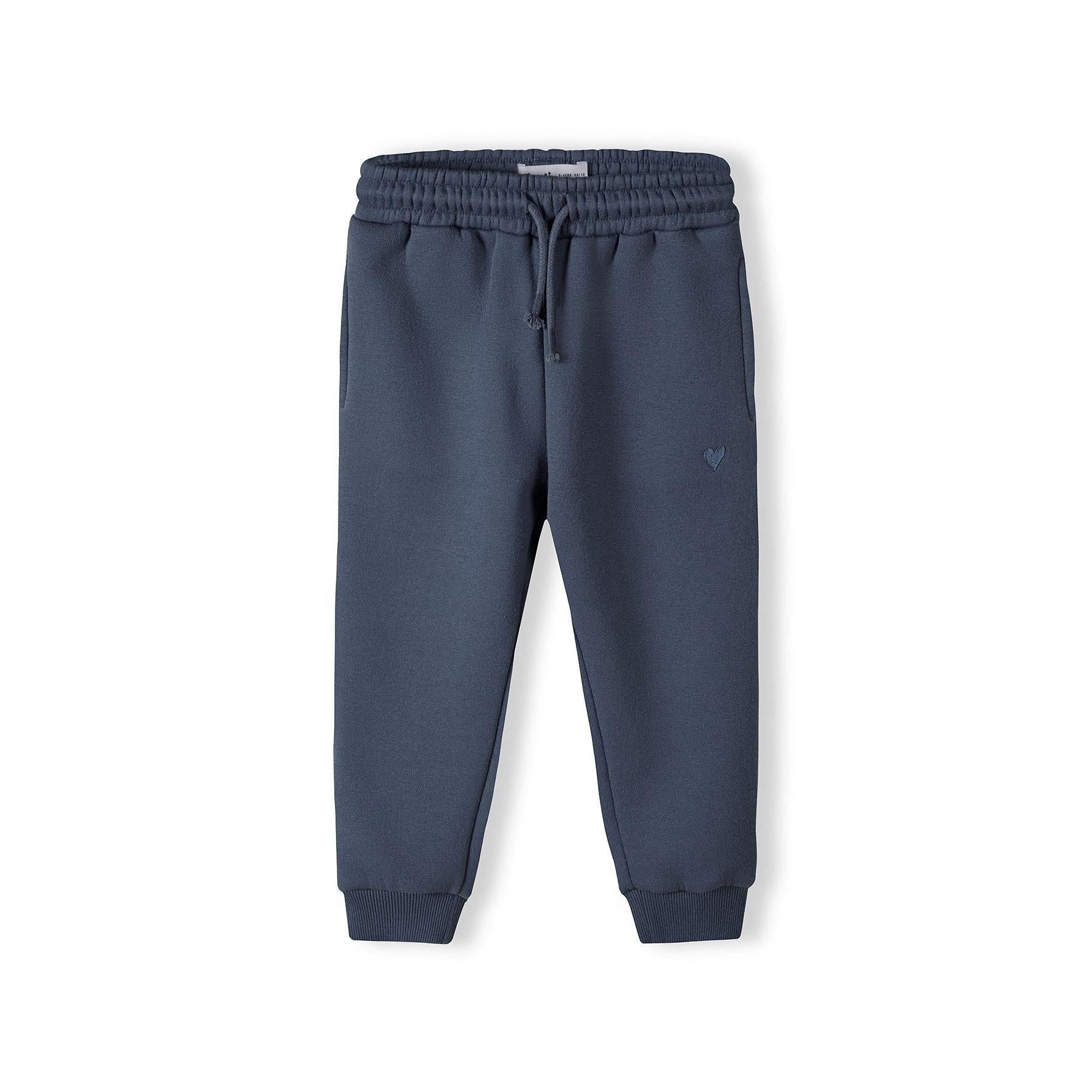 Blue fleece joggers displayed flat on white background showing full length view with elasticated waistband, drawstring and ribbed cuffs