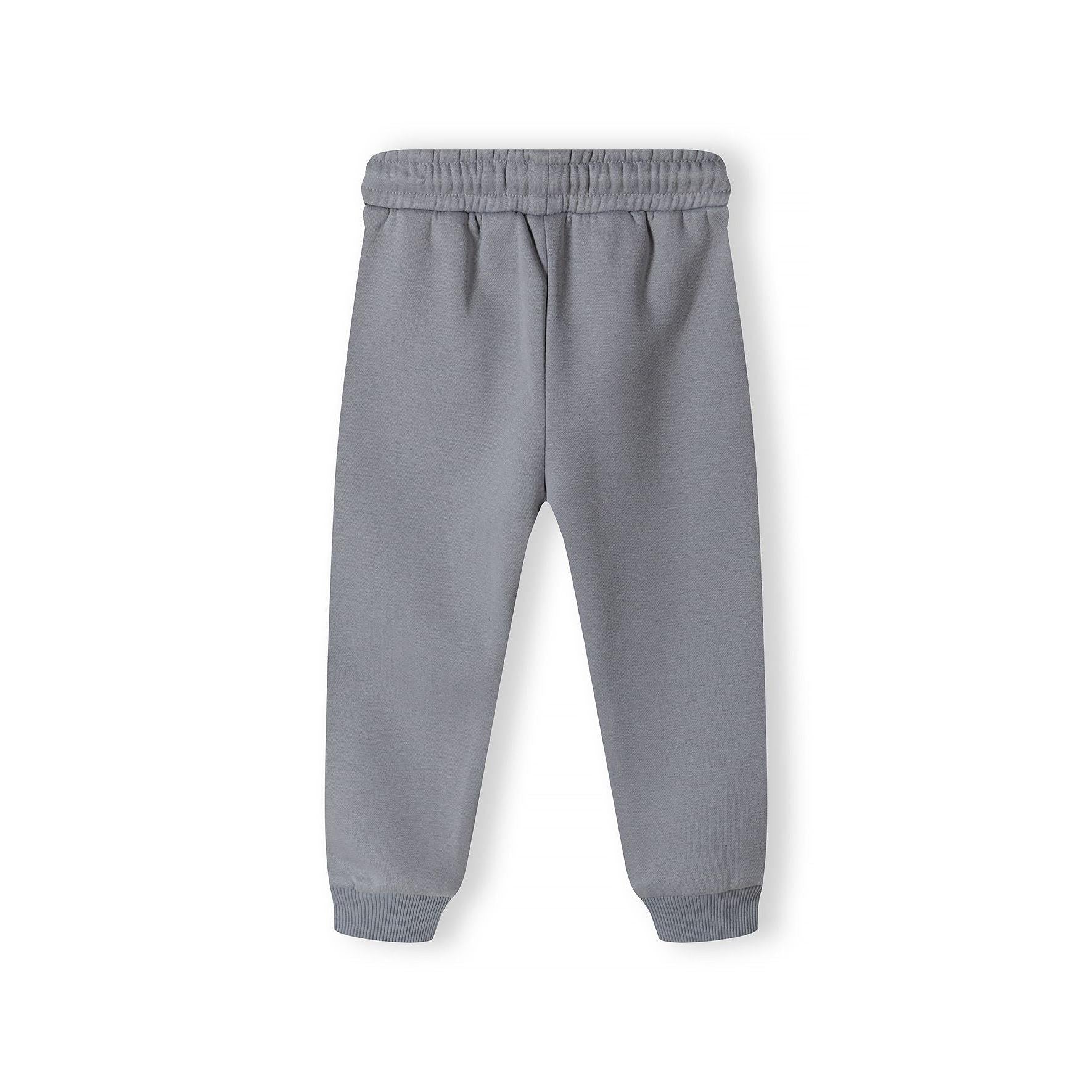 Back view of grey fleece joggers showing elasticated waistband and full length against white background