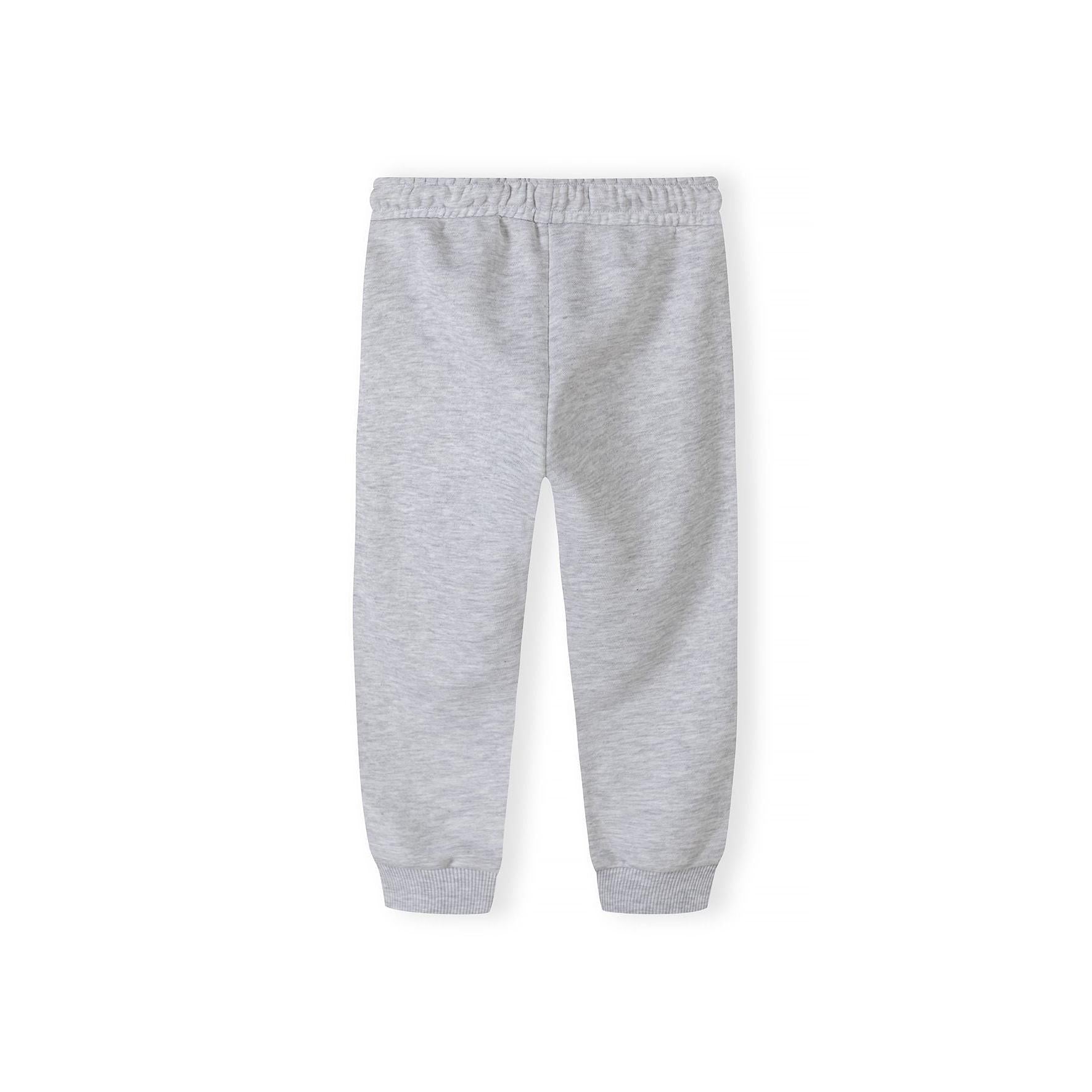 Back view of grey fleece joggers on white background showing plain design and ribbed ankle cuffs