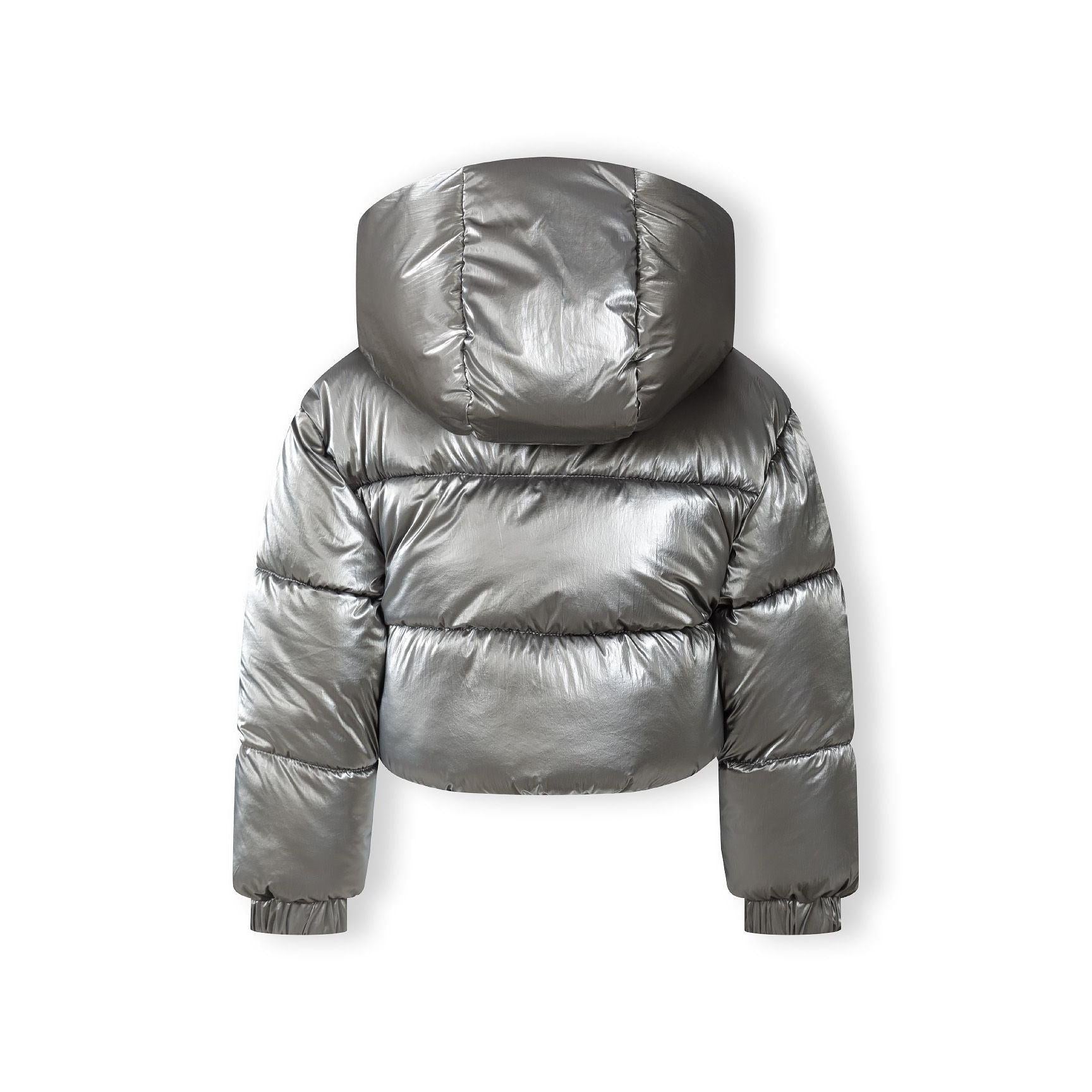 Back view of grey metallic cropped padded jacket showing quilted design, attached hood and overall silhouette on white background