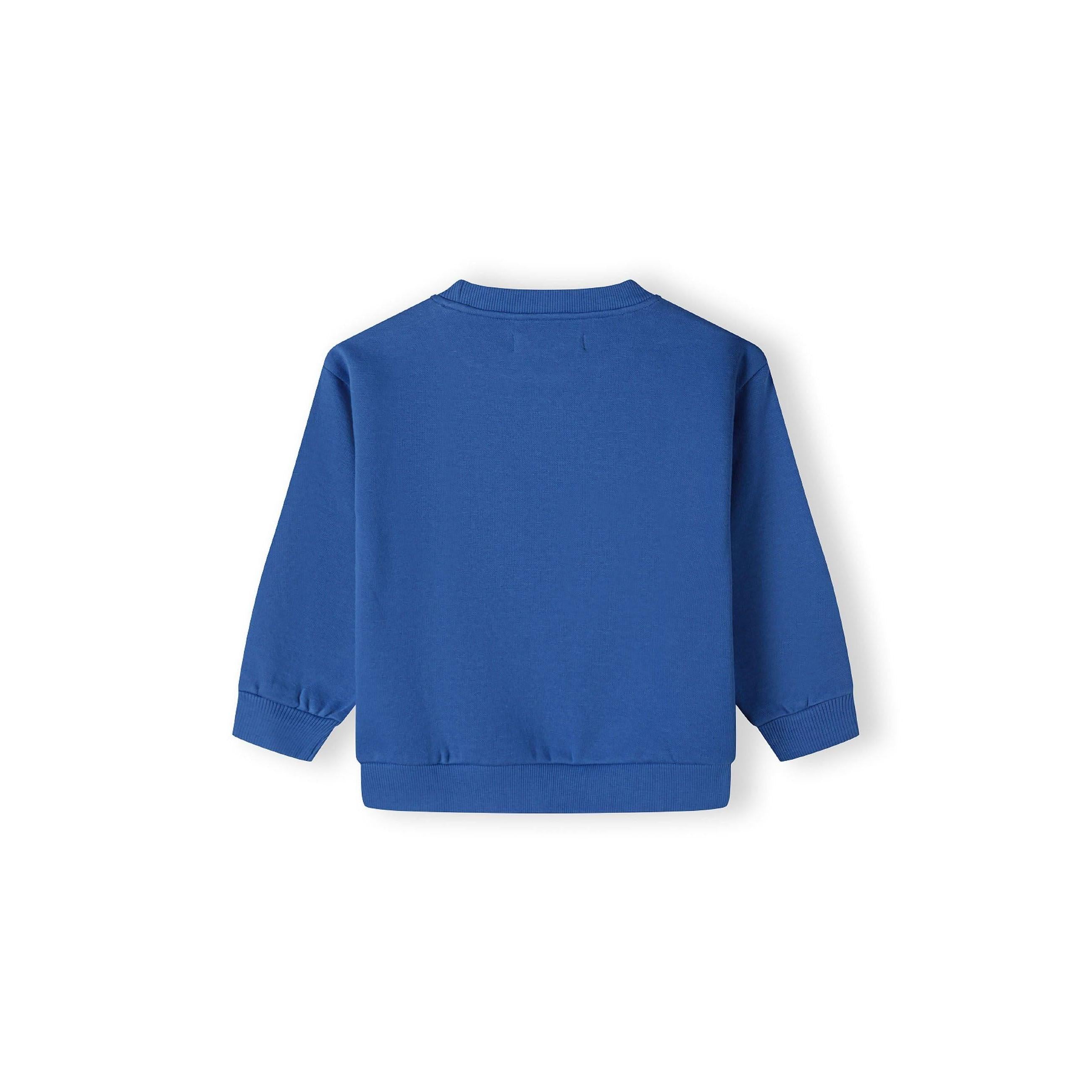 Back view of cobalt blue sweatshirt showing plain design with ribbed cuffs and hem against white background