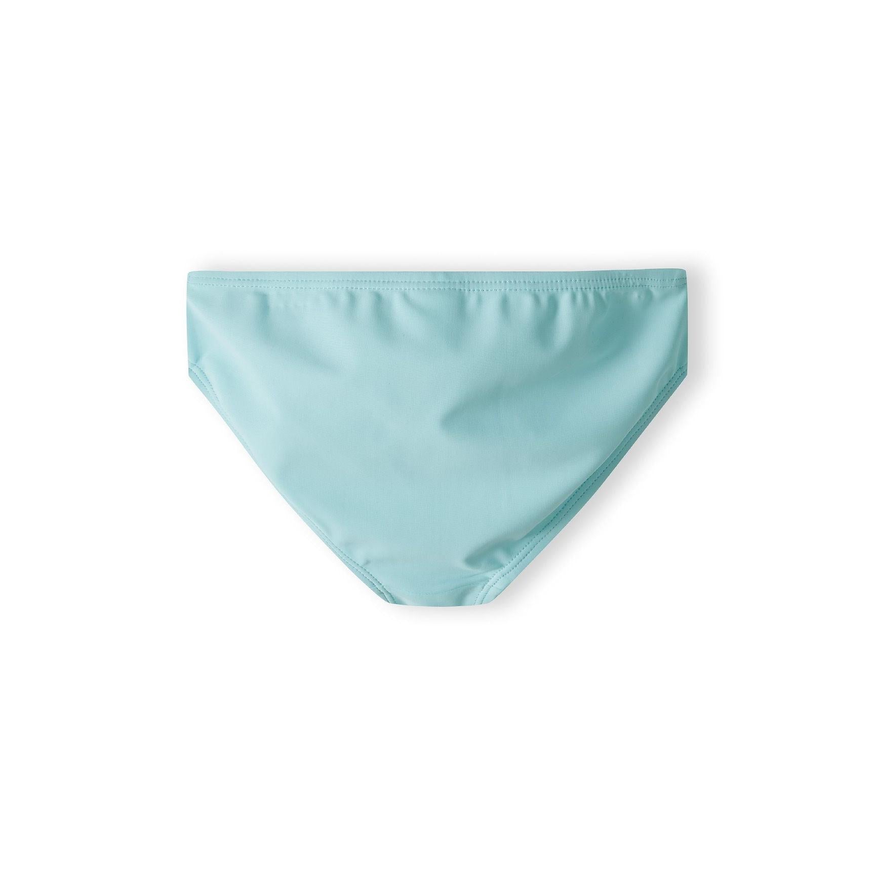 Mint green bikini bottoms with elastic waistband shown individually on white background, displaying classic brief cut style