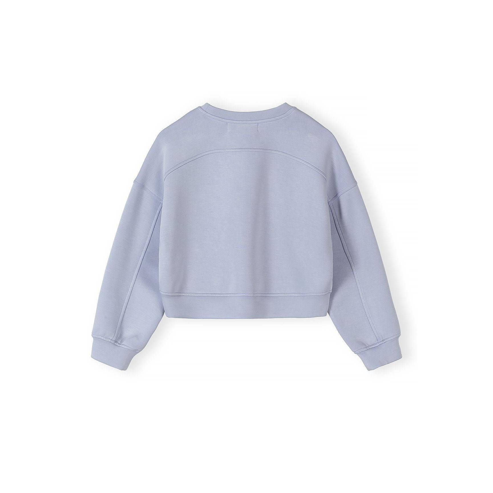 Back view of lavender sweatshirt showing relaxed fit and ribbed hem detail on white background