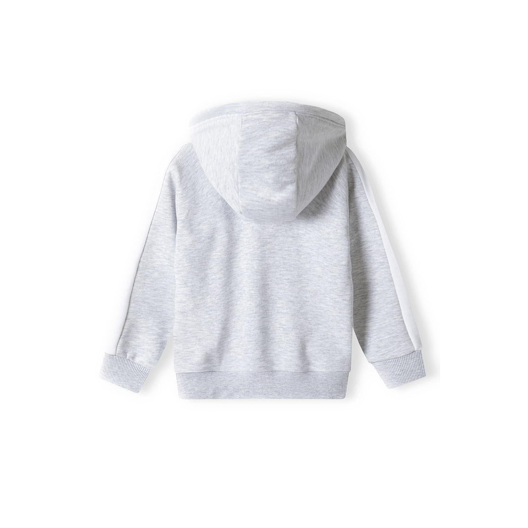Back view of grey zip-up hoodie laid flat showing hood construction and overall silhouette against white background